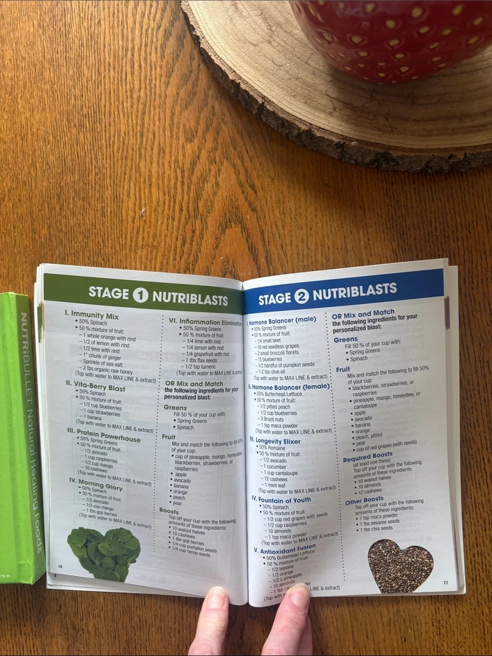 NutriBullet Recipe & Guide Book Set
